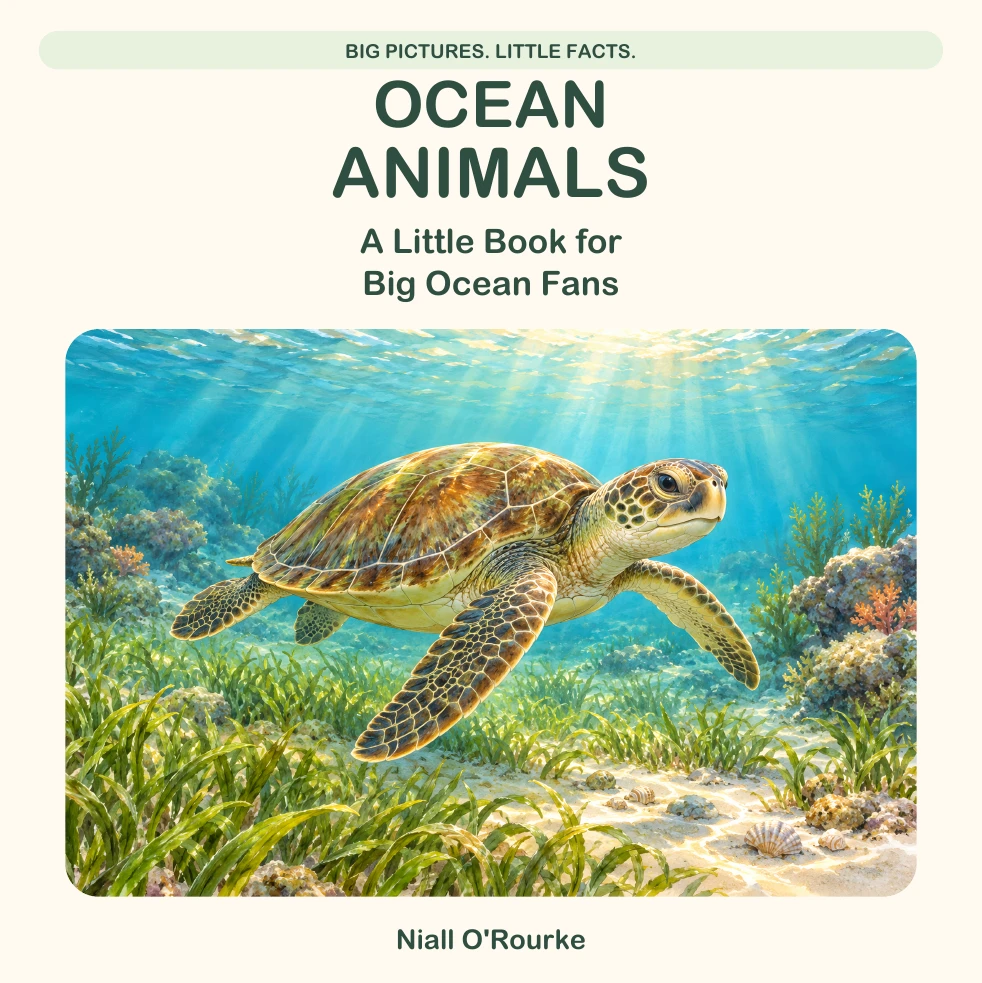 Ocean Animals book cover